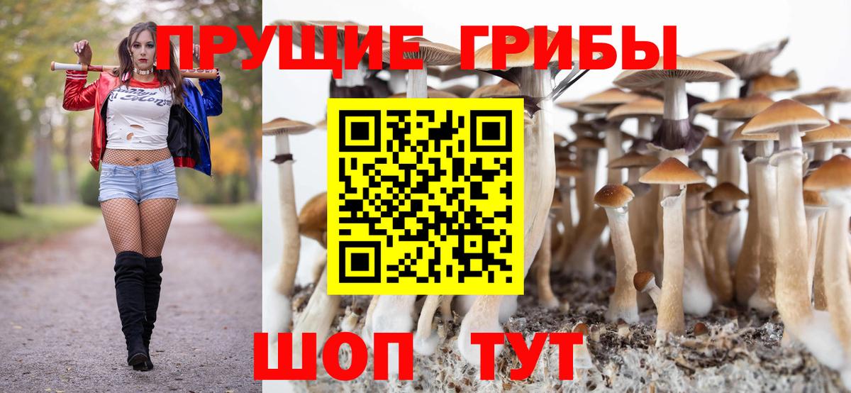 Сегежа  Псилоцибиновые грибы мицелий  Вход с VPN  Псилоцибиновые грибы Psilocybe 
