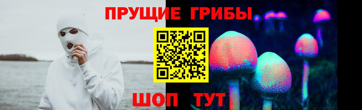 Галлюциногенные грибы Cubensis Сегежа